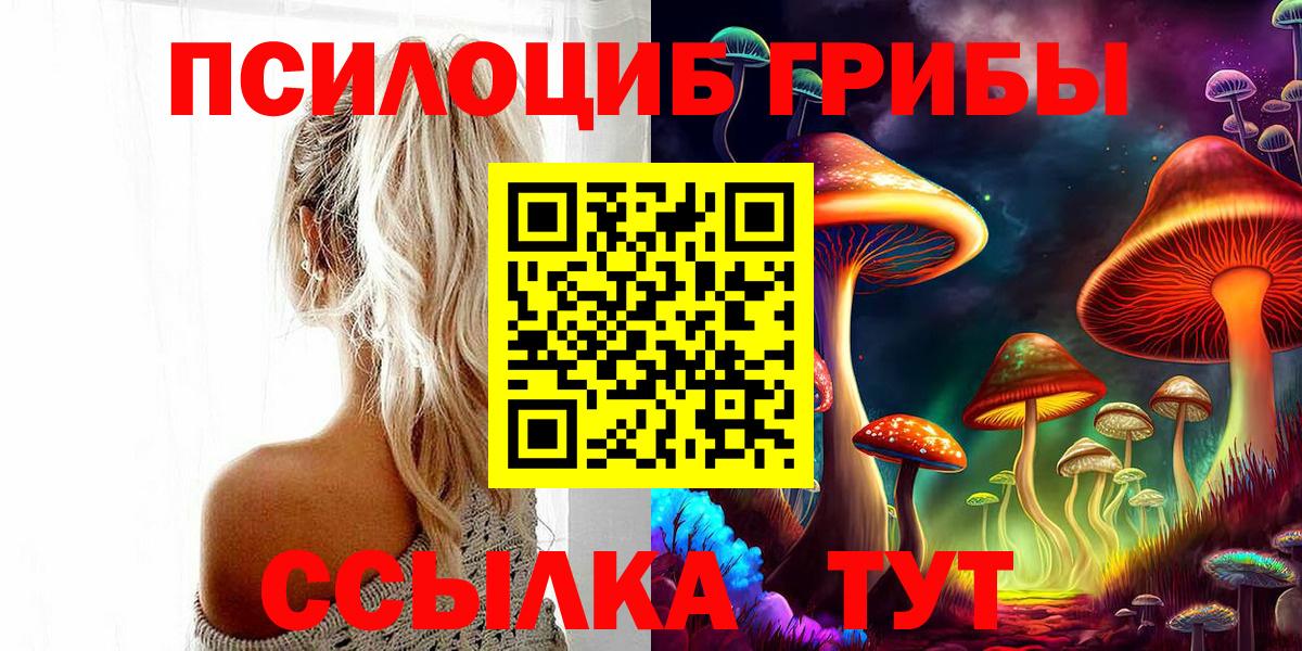 Галлюциногенные грибы прущие грибы  Вход с VPN  Павловский Посад 